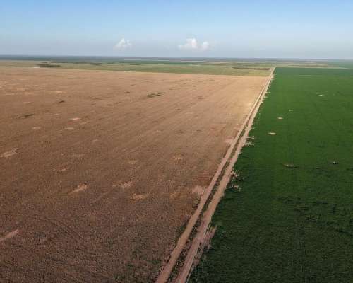 Tobas, Juan Felipe Ibarra, Santiago del Estero - 3.580 Ha