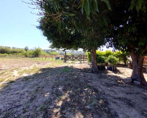 Campo y Casa en Venta, y Plantación de Limones. Bella Vista