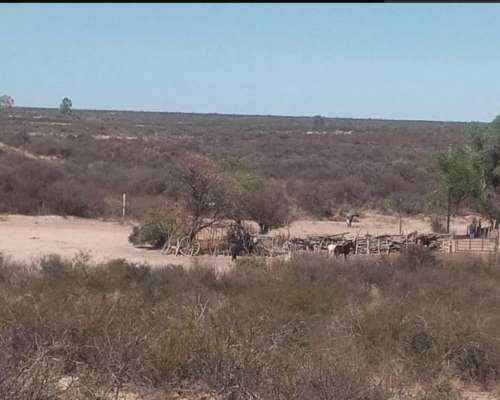 1110 Has en las Catitas, Mendoza