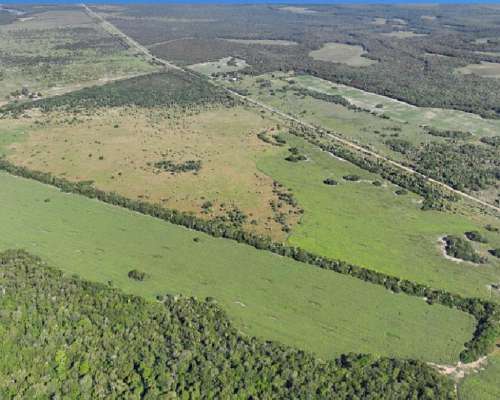 1.800ha Agricolaganaderas en General San Martin, Chaco