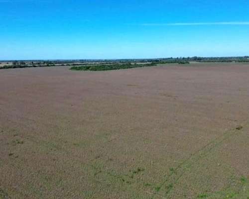 Campo Agrícola Tororal Córdoba