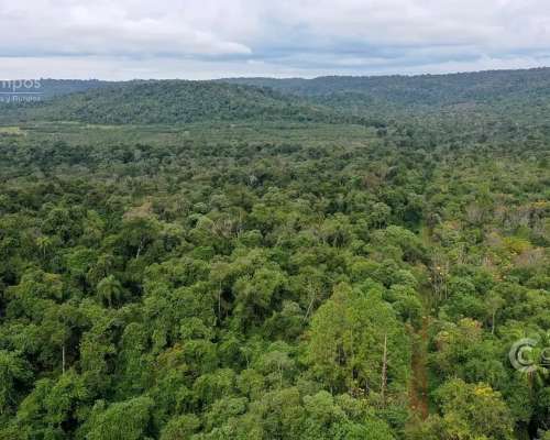 Se Vende. Campo Jardín América. de 306 Ha en SU Mayoria Mont