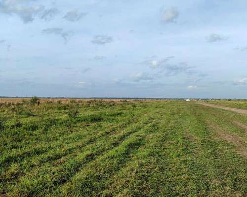 La Sarita, General Obligado, Santa FE - 11.209 Ha