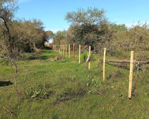 Venta Campo Agrícolas - Lucas Norte, Villaguay, Entre Ríos