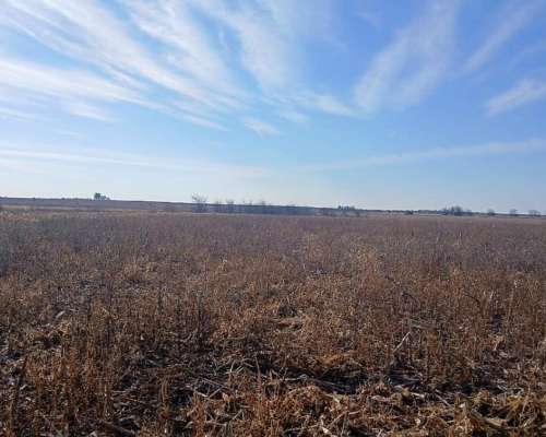107 Ha Agrícolas. muy Buen Campo. Nogoyá