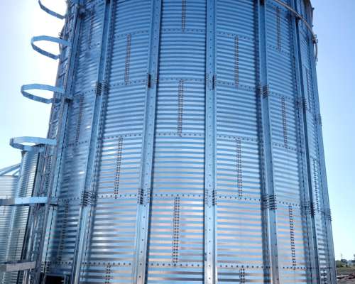 Plantas para Elaboracion de Alimentos Balanceados Nutritivos