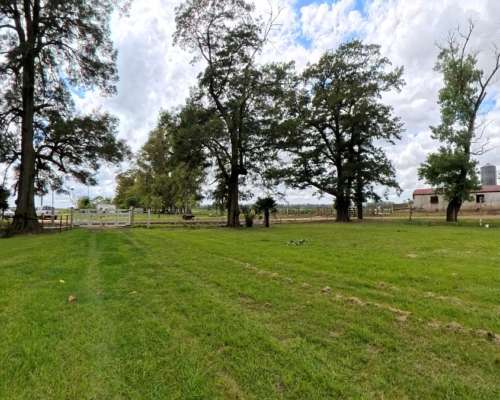 77 Hectáreas Sobre Ruta N°5 – Suipacha (bs. As.)