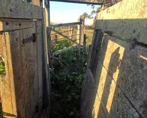 Vendo Manga Zona Mayol