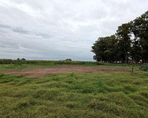 350 Hectareas Bolivar Venta