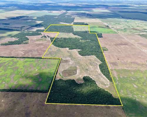 134 Has en Venta - Pcia del Chaco, Campo Largo