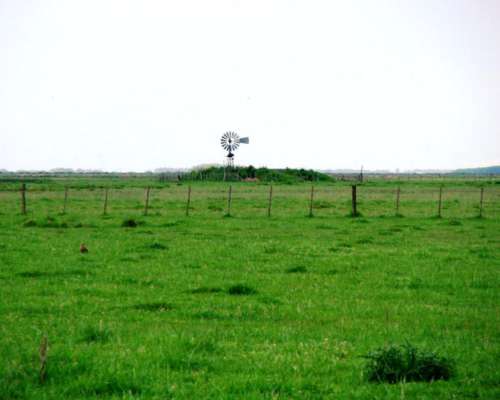 Ba2896 Venta 800 Has. Ayacucho Buenos Aires