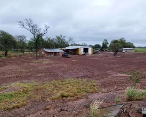 Joaquin V Gonzalez, Anta, Salta - 5.500 Ha