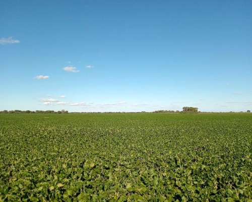 87 Ha en Venta en Capilla de Siton