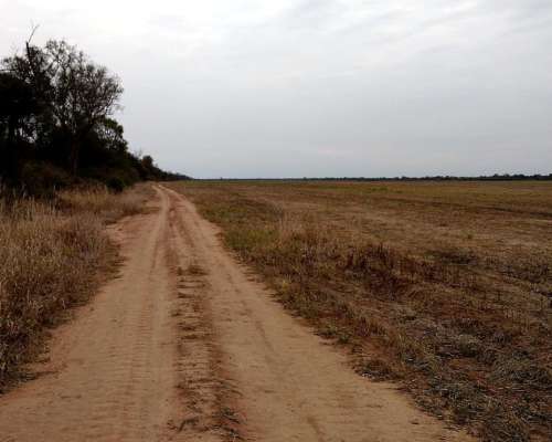 Salta - Excelente Campo Ganadero-solo Interesados Directos-