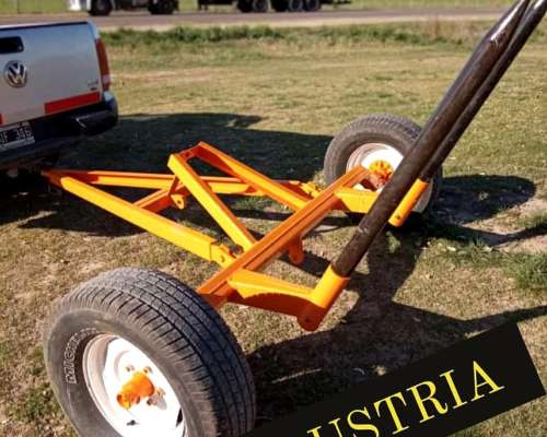 Transportador de 1 Rollos Agroindustria