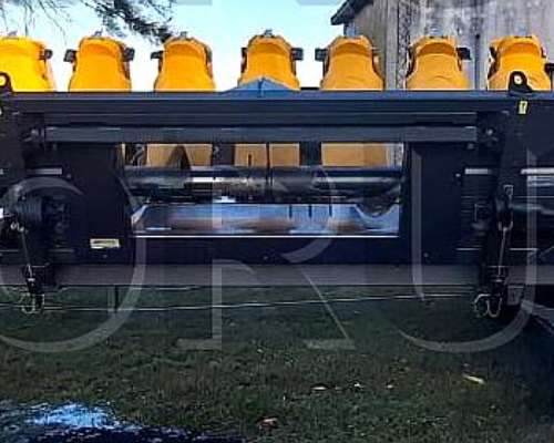 Maicero de Grande 16 a 52 ED 2020, año 2021. 900 Has