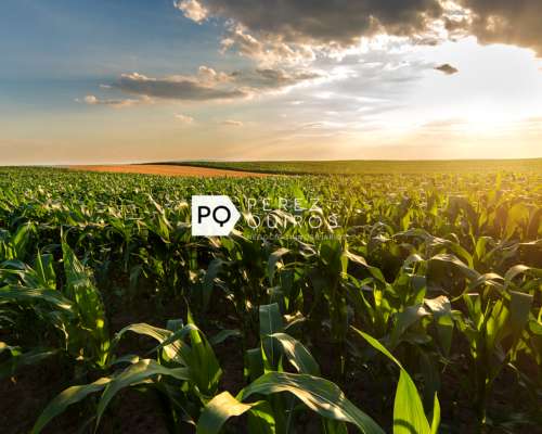 Se Vende Campo en San Luis. Oportunidad