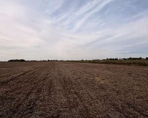 Campo 41hac Agricola Rueda Santa FE