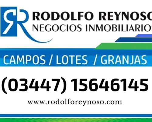 26 Ha - Campo en Dto. Uruguay - ER