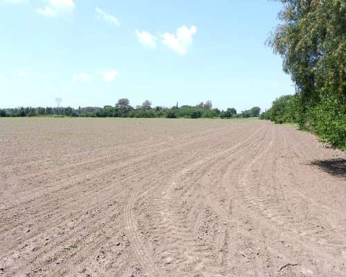 San Nicolás, Buenos Aires - 40,8 Ha