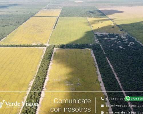 100 Has en Venta - Pcia del Chaco, Gancedo