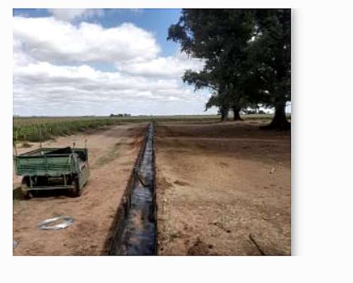 Comedero Bebedero Lineal Maquinarias Ibarrola Comedero Geome