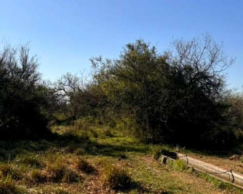 Campo Ganadero 1010 Hectareas
