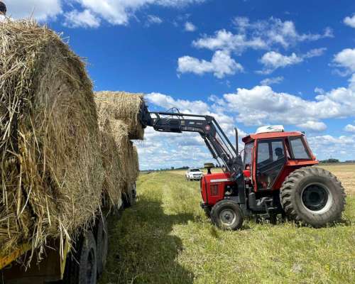 Massey Ferguson 292, con Pala Omar Martin
