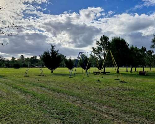 Encargado de Campo- Cadete