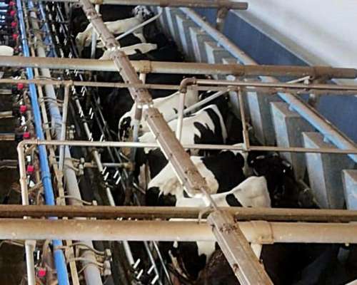 786 Ha con Tambo - a Tranquera Cerrada