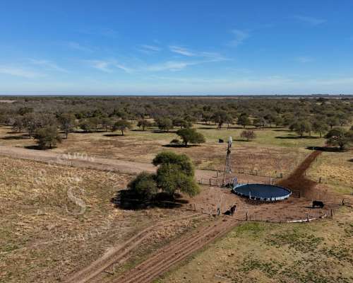 Venta Campo Mixto. 196 HA. la Camila, Santa FE.