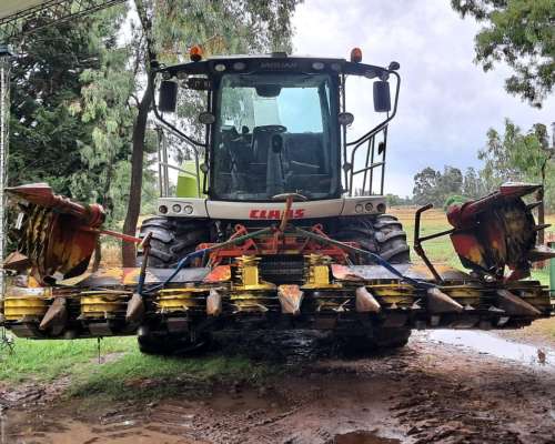 Picadora Claas Jaguar 980