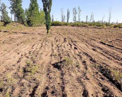 Gerenciador Inversor para Desarrollo Ganadero en Mendoza