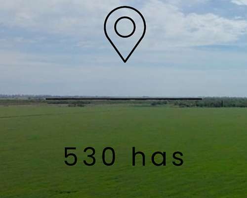 Venta- 530 Has en Villa María- CBA
