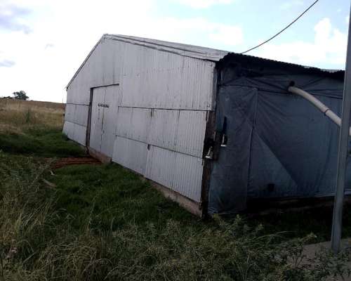 Granja Avicola Capacidad 30 Mil Pollos.