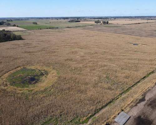 Campo en Venta de 178 Has en las Heras. Agricola