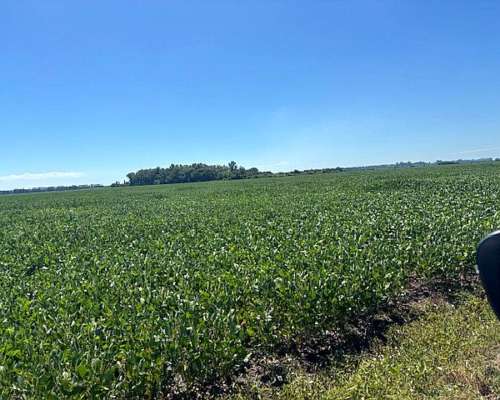 120 Has 100 % Agrícolas sin Desperdicios