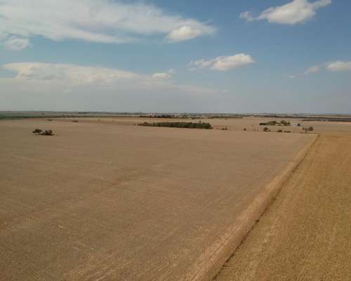 Venta Campo en Lozada- Cordoba