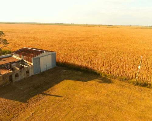 Campo en Venta en Colonia Castelar, Santa FE