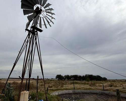 Campo en Venta Colonia Belgrano 287 Has Ganaderas