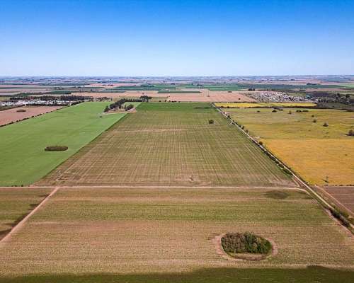 Campo 90 Has en Pavon, Santa FE 🌻🐄☘️