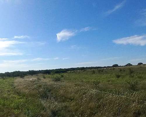 Campo Mixto 42 Hectareas Entre Rios