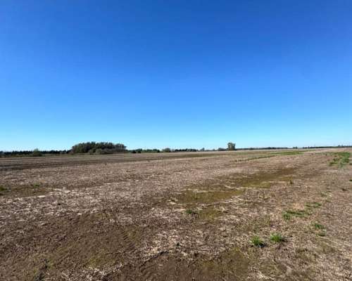 Campo Agrícola de 90 Hectáreas Sobre Ruta 9