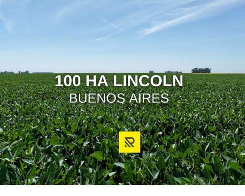 100ha Lincoln 100% Agricola