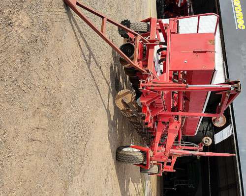 14 a 52, Fertilización Simple, Gringa IV