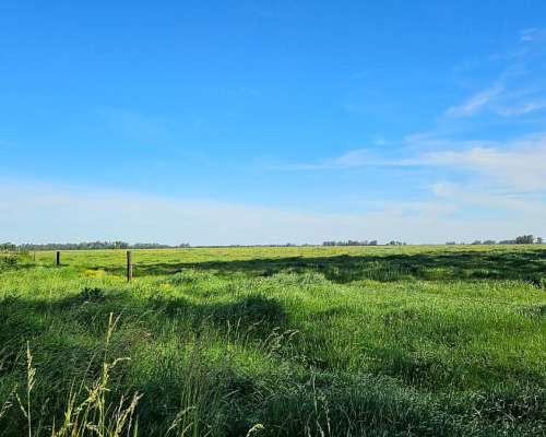 Mercedes, Buenos Aires - 701 Ha
