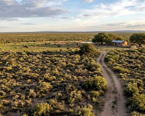 500has Agricolas en Chuña(cordoba) a 30km de Dean Funes