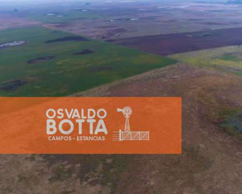 450has Mixtas en Bolivar, Buenos Aires