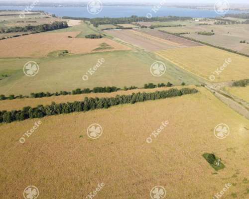 Campo en Venta 57 Has en Chascomús