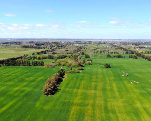 74 Has en Campana, BS. AS. - Agrícola/desarrollo - Venta